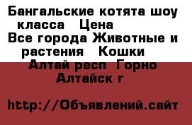 Бангальские котята шоу класса › Цена ­ 25 000 - Все города Животные и растения » Кошки   . Алтай респ.,Горно-Алтайск г.